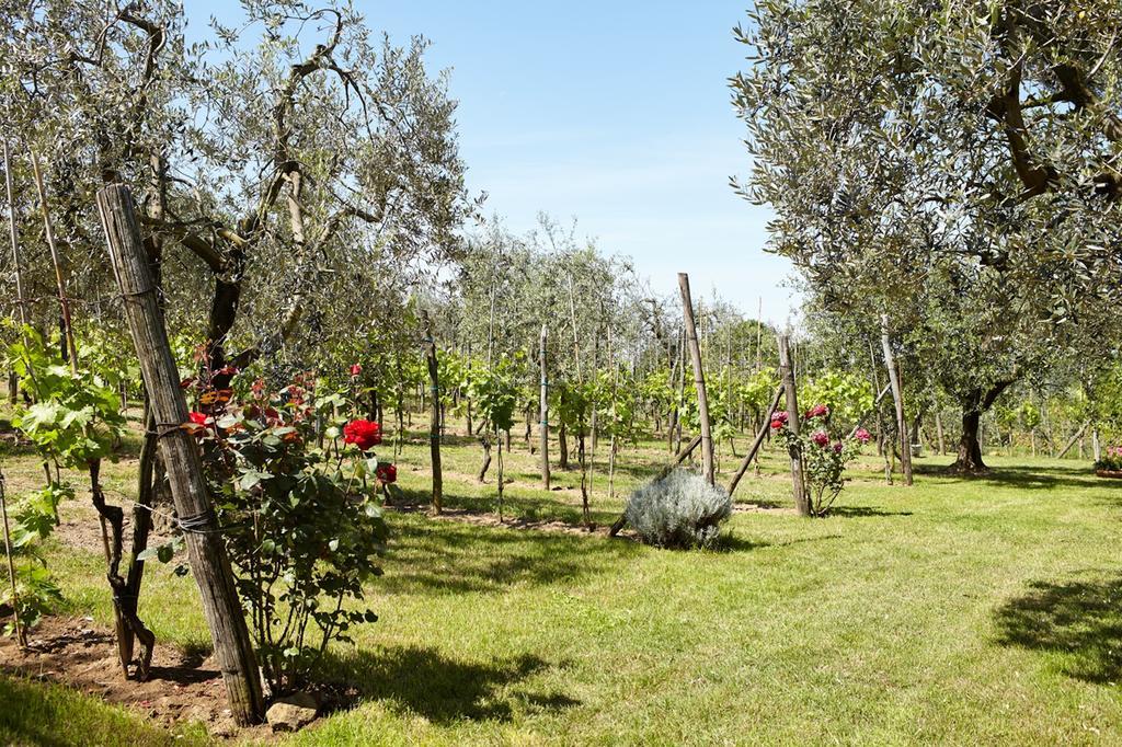 Podere La Casuccia Malmantile 객실 사진