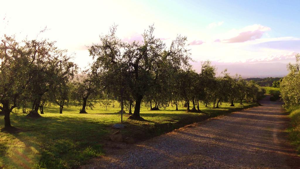 Podere La Casuccia Malmantile 객실 사진